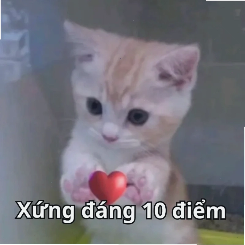 meme mười điểm lầy lội meme mười điểm lầy lội