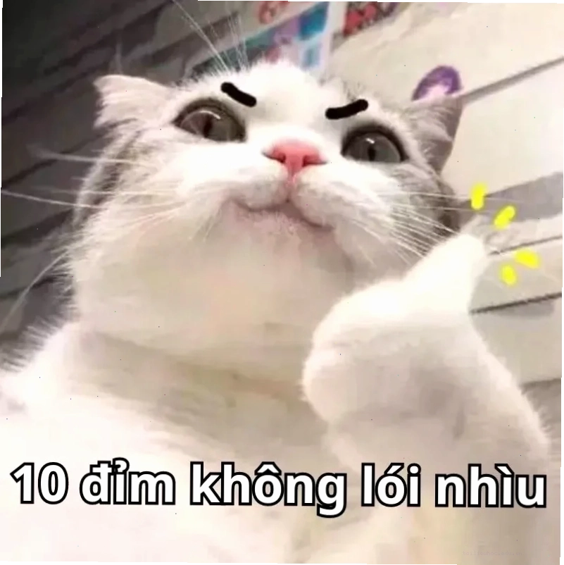 meme mười điểm vui nhộn meme mười điểm vui nhộn