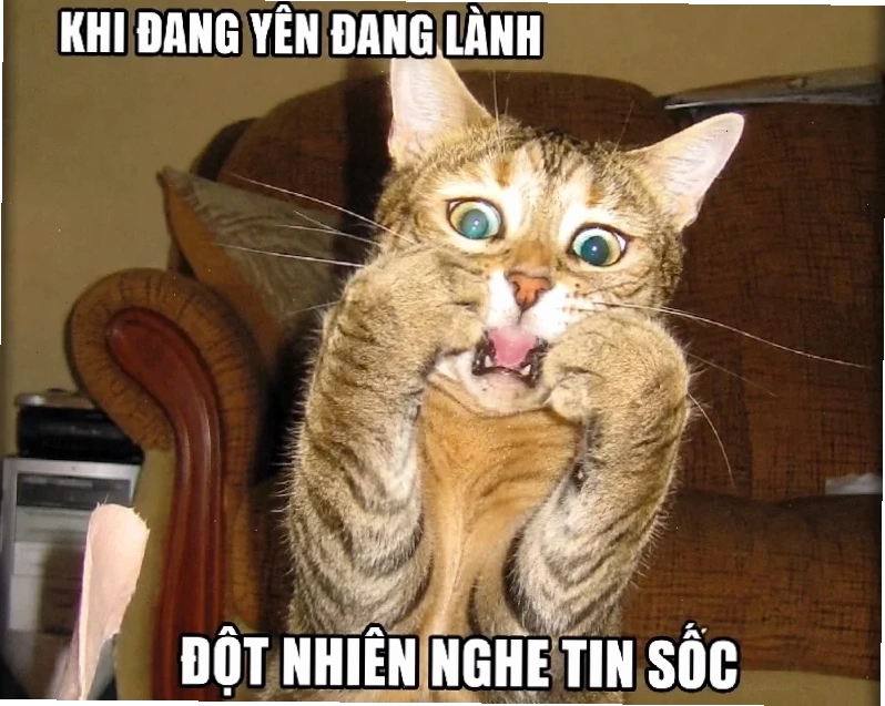 Meme ngạc nhiên meme ngạc nhiên