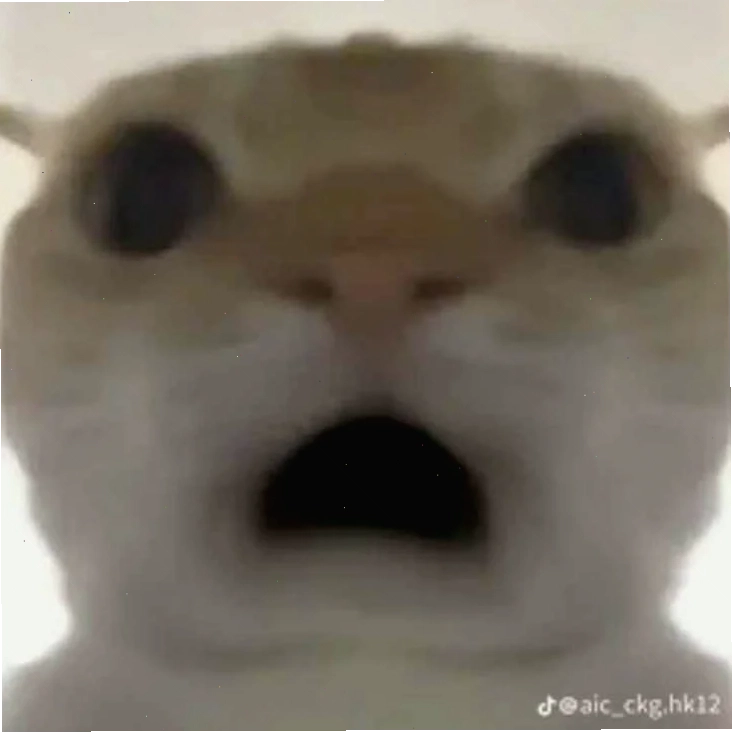 Meme ngạc nhiên meme ngạc nhiên