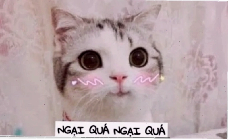 meme ngại ngáo ngơ