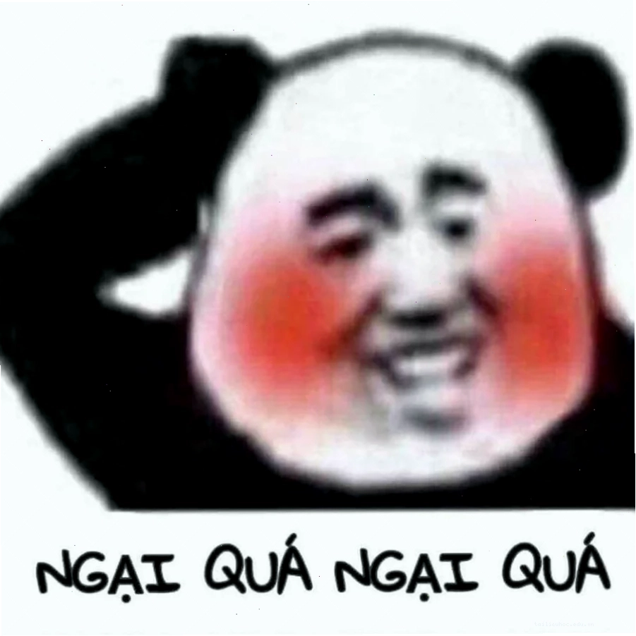 meme ngại người que