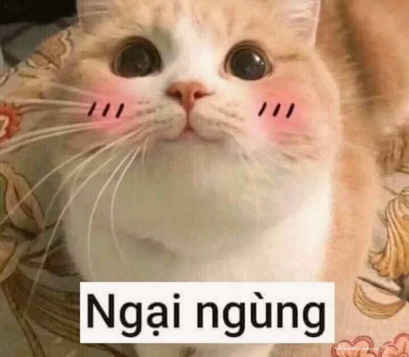 meme ngại thỏ