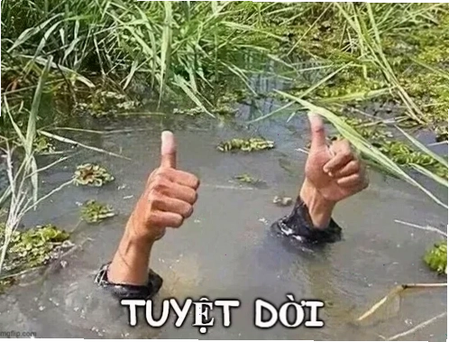 Meme nụ cười xinh đẹp tuyệt vời meme