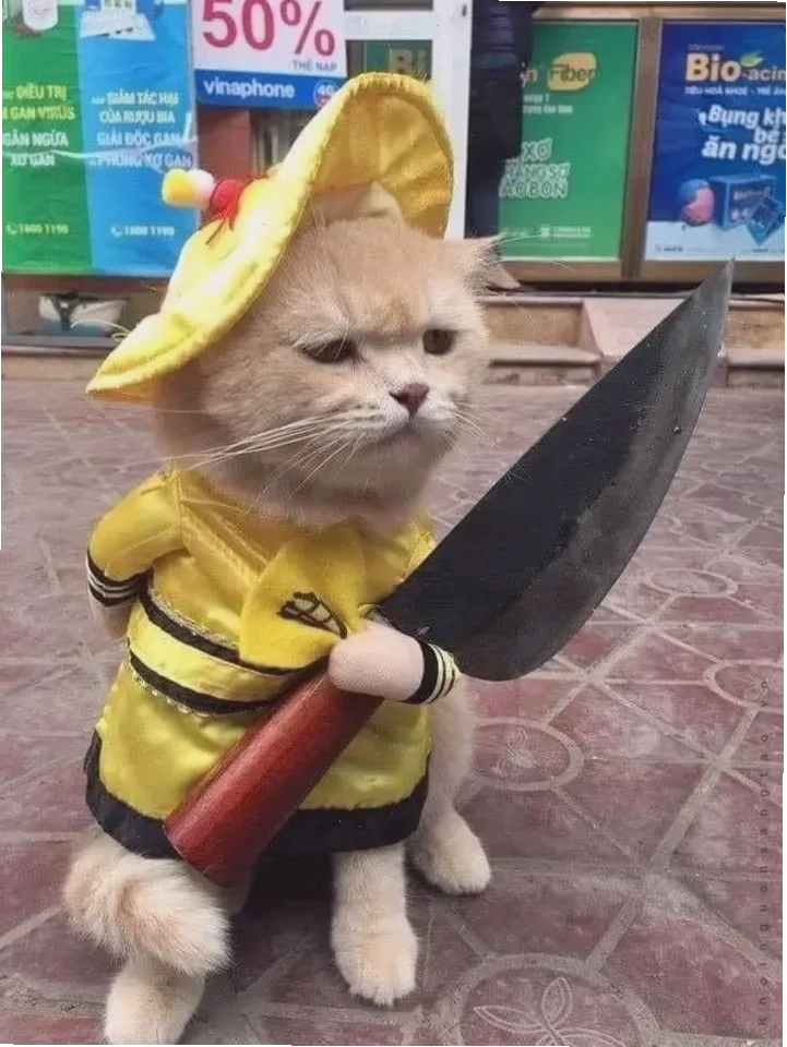 Châm biếm hành vi meme phóng lợn châm biếm
