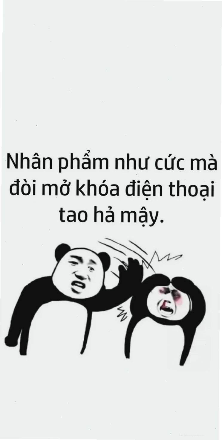 Meme Shiba cười làm hình nền hài bựa