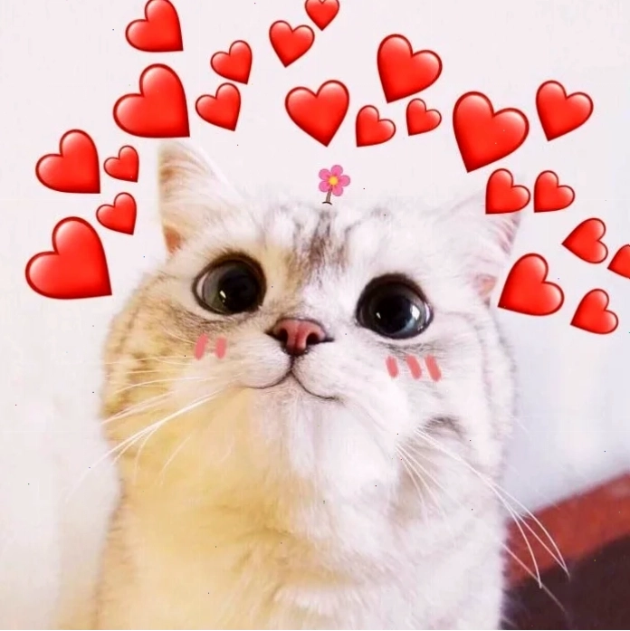 meme tặng trái tim bựa meme tặng trái tim bựa