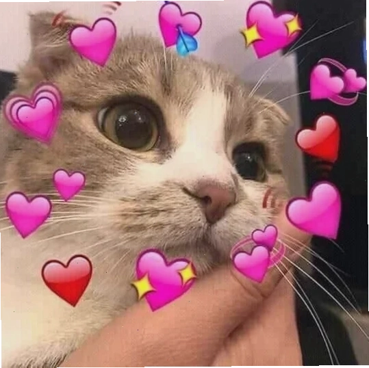 meme tặng trái tim cho bạn meme tặng trái tim cho bạn