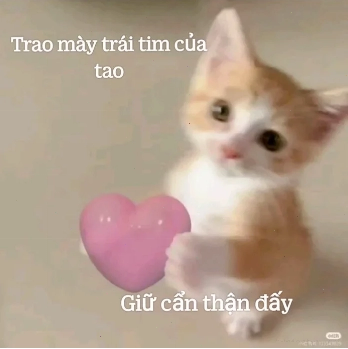 meme tặng trái tim emoji meme tặng trái tim emoji
