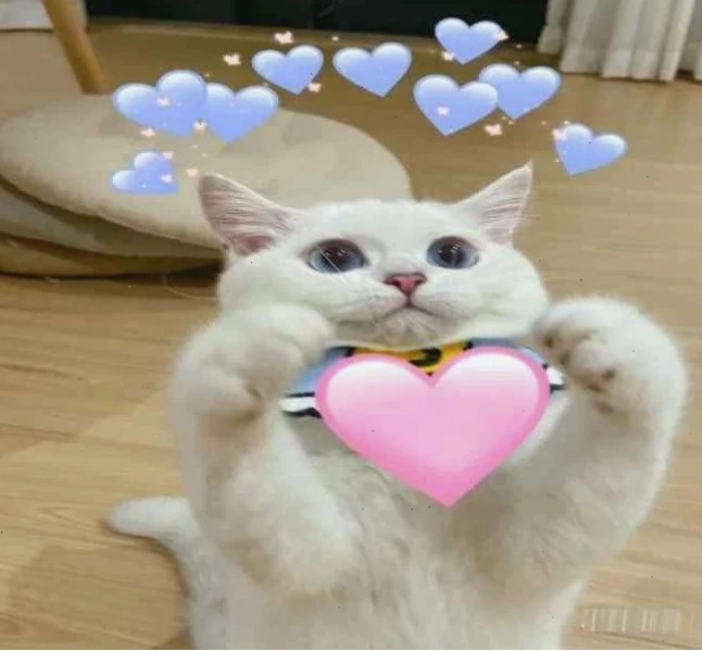 meme tặng trái tim hài hước meme tặng trái tim hài hước