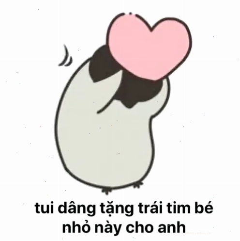 meme tặng trái tim hồng meme tặng trái tim hồng
