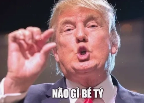 Meme thông não meme thông não đơ
