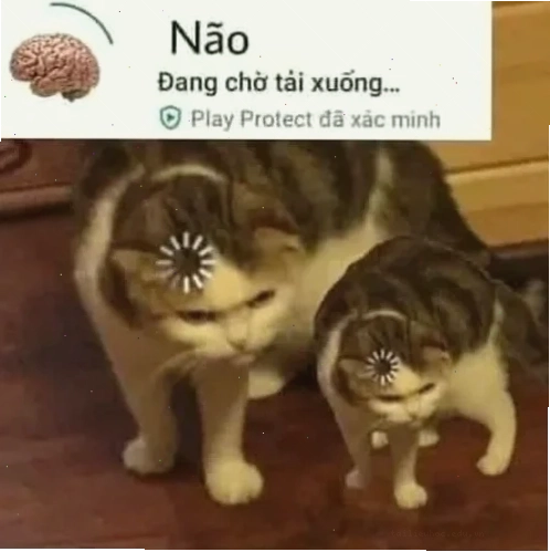Meme thông não meme thông não hỏng
