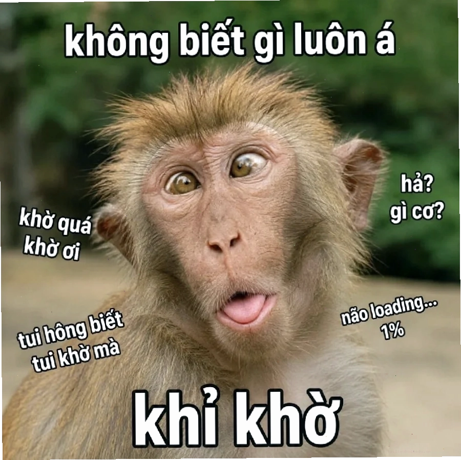 Meme thông não meme thông não lạc trôi