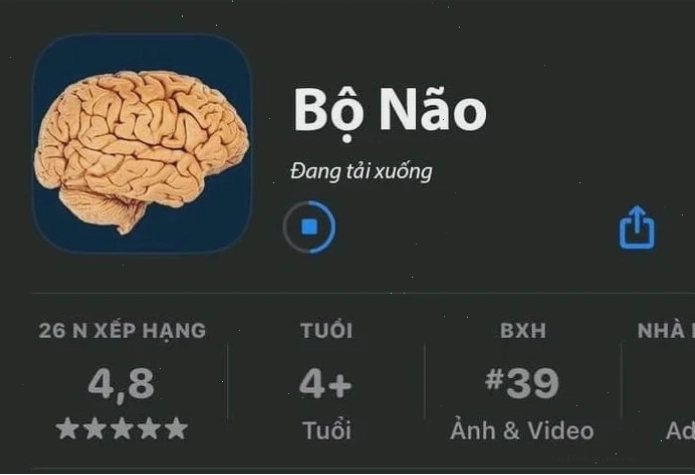 Meme thông não meme thông não logic