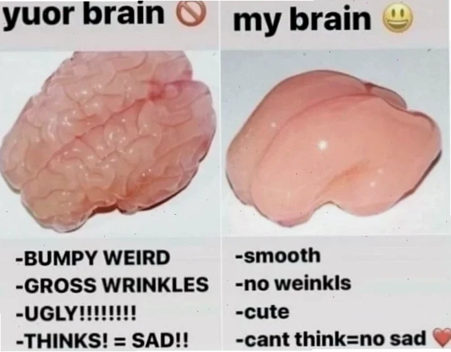 Meme thông não meme thông não quên