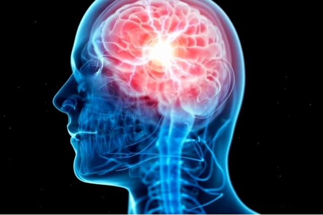 Meme thông não meme thông não reset