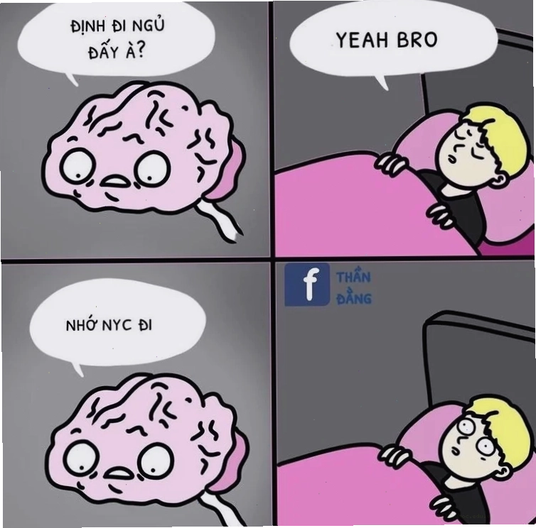 Meme thông não meme thông não rối