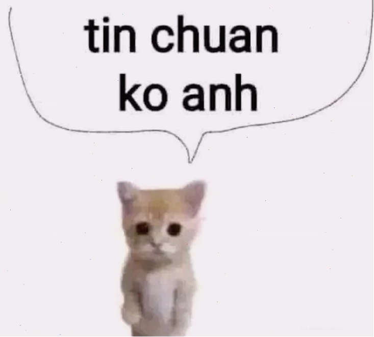 meme tin chuẩn chưa anh hài hước meme tin chuẩn chưa anh xuất hiện trong các bài đăng mạng xã hội