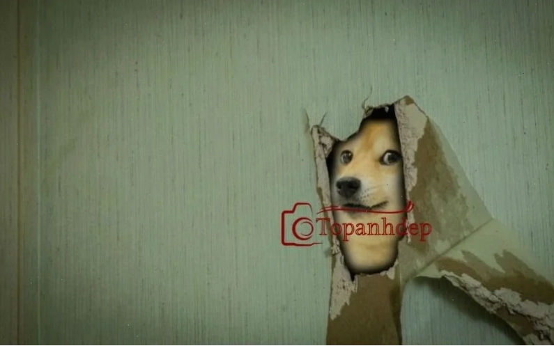 Meme tối giản làm hình nền hài bựa