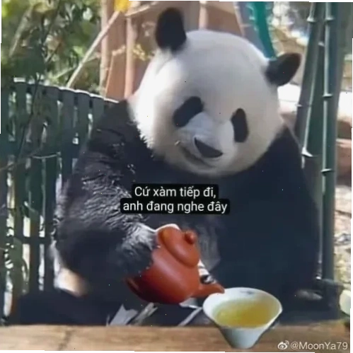 Dich vu tot meme trà sữa dich vu