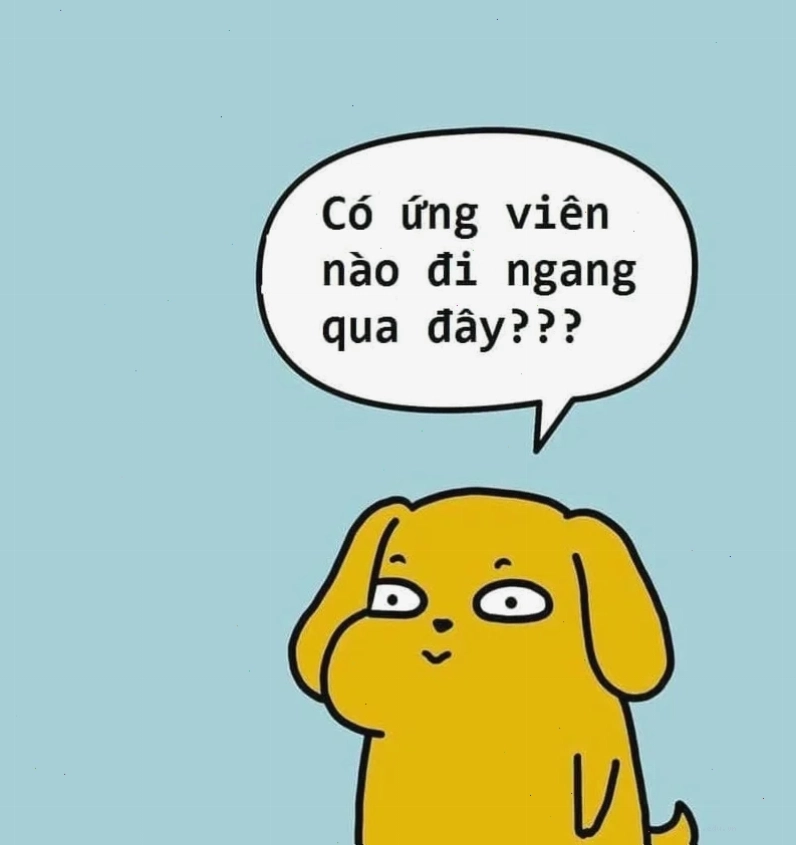 Meme ngày đầu đi làm meme tuyển dụng đi làm