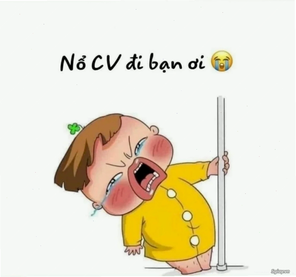 Meme kinh nghiệm ba năm meme tuyển dụng về kinh nghiệm