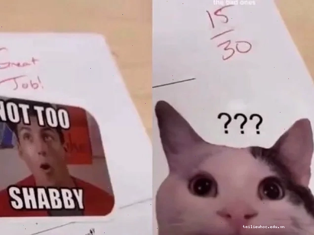 Meme ủa alo thú vị meme ủa alo