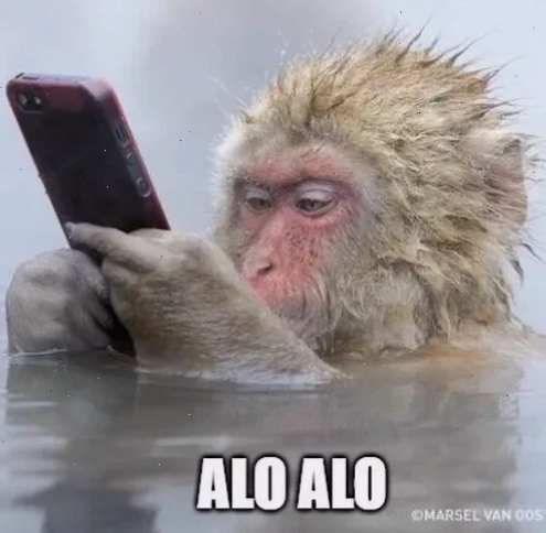 Meme ủa alo cực chất meme ủa alo