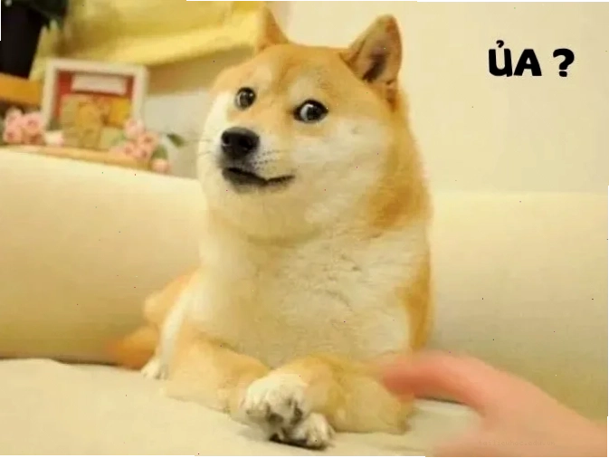 Meme ủa alo phong cách meme ủa alo