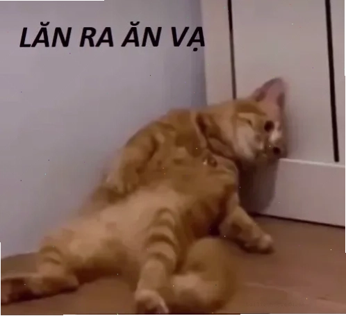 meme vã cười xỉu meme vã cười xỉu