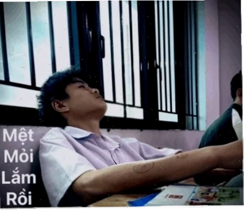 Deadline kinh hoàng Meme về deadline và sự quá đủ rồi quá mệt rồi meme