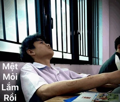 Meme về deadline và sự quá đủ rồi quá mệt rồi meme