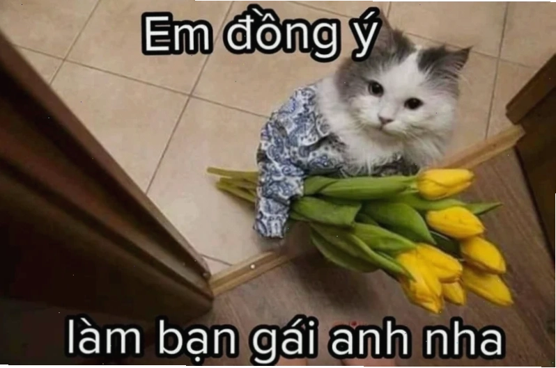meme ôm nhau meme về tình yêu ấm áp