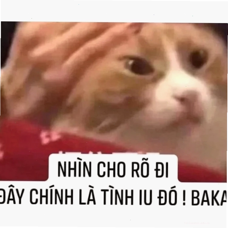 meme tình yêu ngọt ngào meme về tình yêu lãng mạn