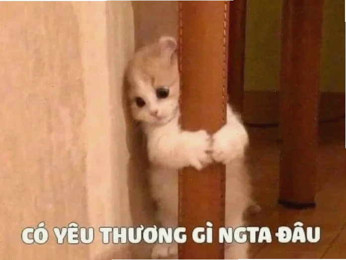 meme hoàng hôn meme về tình yêu lãng mạn