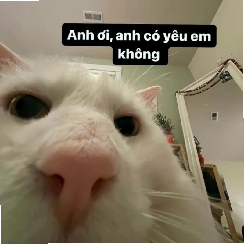 meme ngọt ngào meme về tình yêu ngọt ngào
