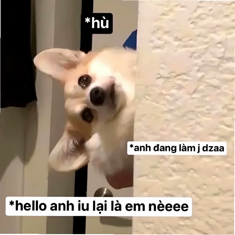 meme tinh nghịch meme về tình yêu tinh nghịch