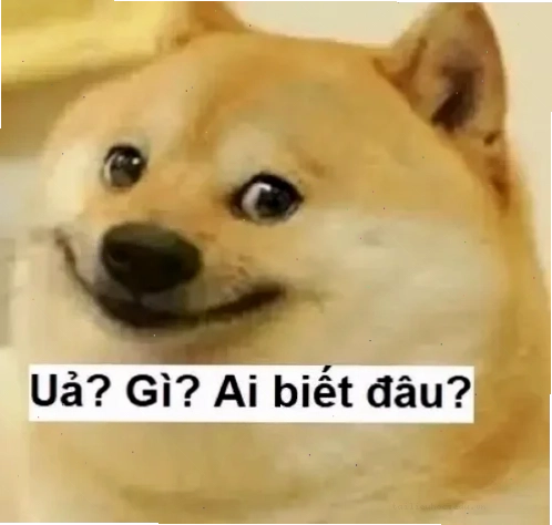 meme vô tội meme vô tội
