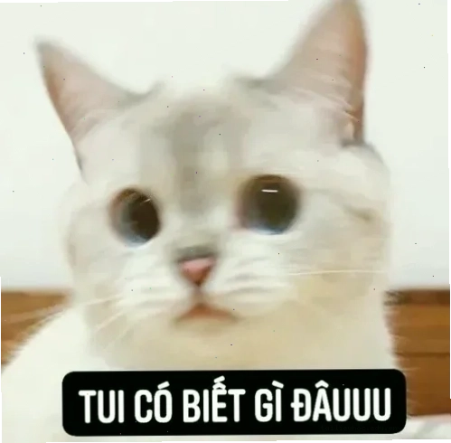 meme vô tội meme vô tội