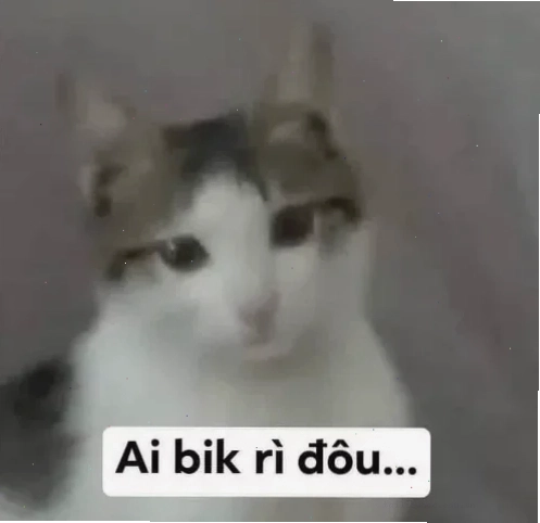 meme vô tội meme vô tội