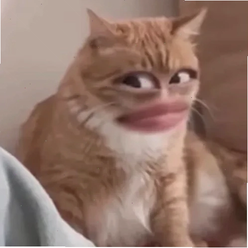 meme vô tội meme vô tội