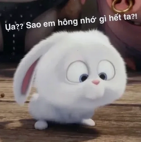 meme vô tội meme vô tội