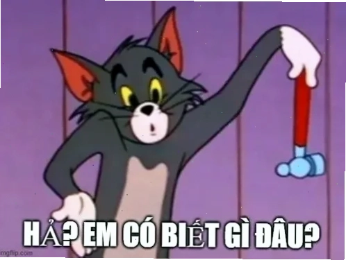 meme vô tội meme vô tội