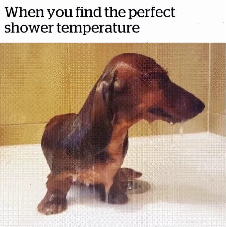 meme vỗ trán