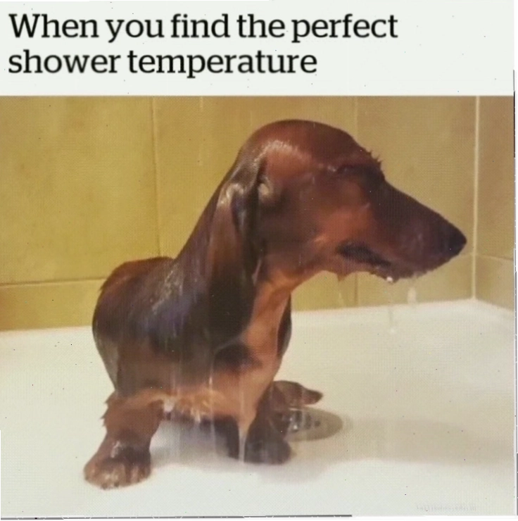 Meme vỗ trán meme vỗ trán