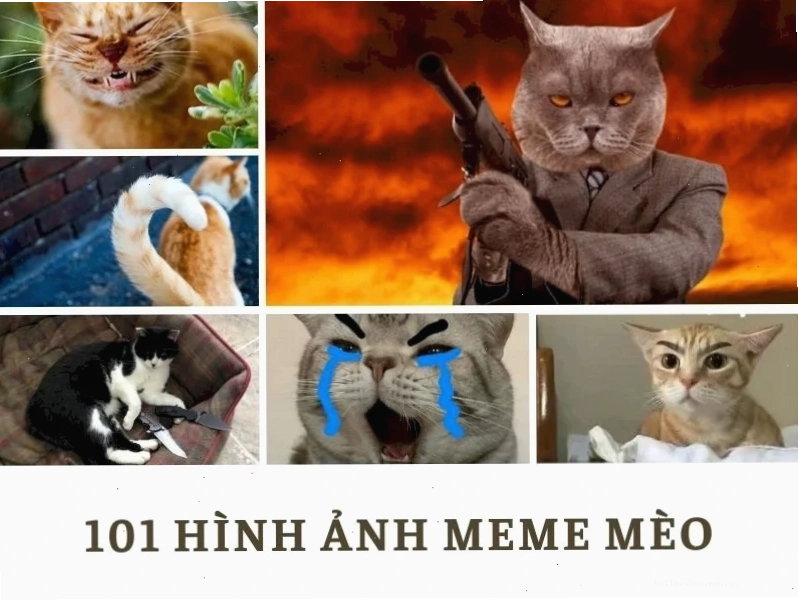 Mèo 3D cực sắc nét