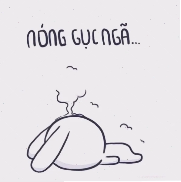 Mèo bay màu meme Mèo bay màu meme với biểu cảm đáng yêu