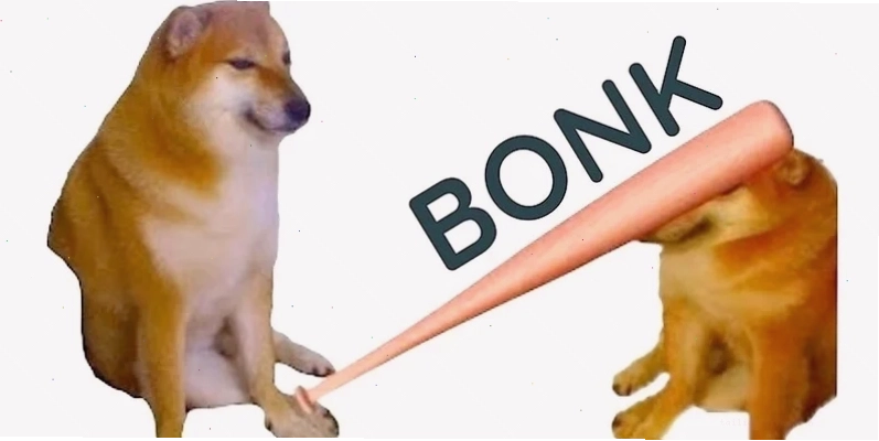 mèo đánh nhau mèo cầm búa