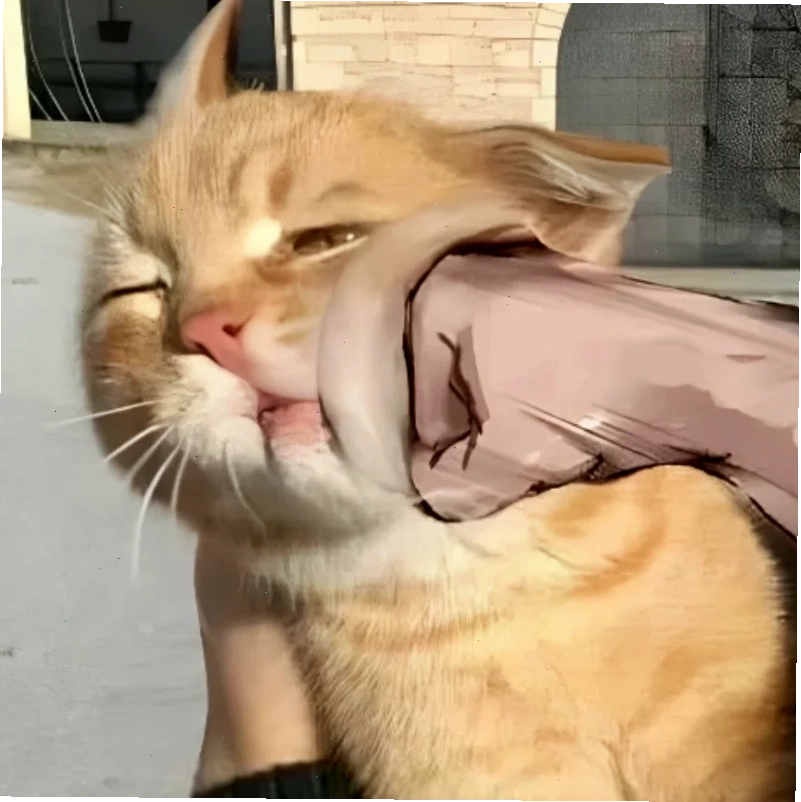 mèo đánh nhau mèo chibi